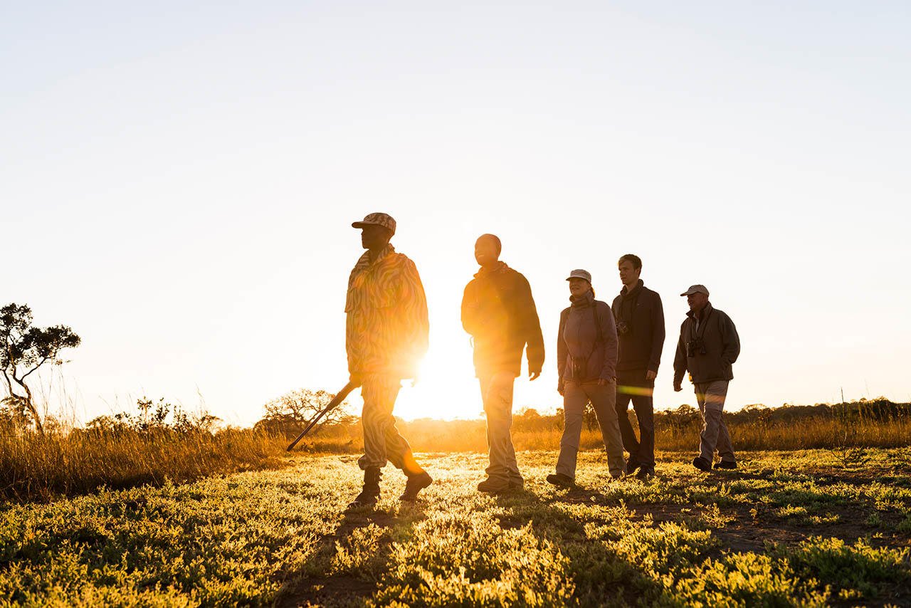 Guests on a walking safari